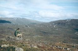 Udsigten over fjeldheden ovenfor Alesvagge 
under en af mine første vandreture i Lappland