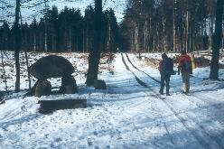 På vintervandretur ad skovvejene i 
Gribskov