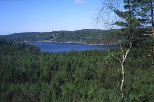 På vejen gennem Svartedalen nyder man udsigten over en række større skovsøer, her for eksempel Håltesjön.