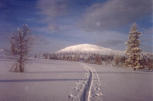 På vej op over fjeldet mod Bottølen