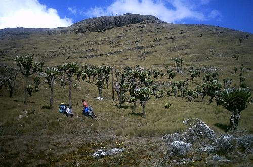 Oldonyo Lesatima, Aberdares' højeste punkt, set fra SW