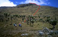 Ruten op til og over S-graten til toppen af Oldonyo Lesatima set fra SW
